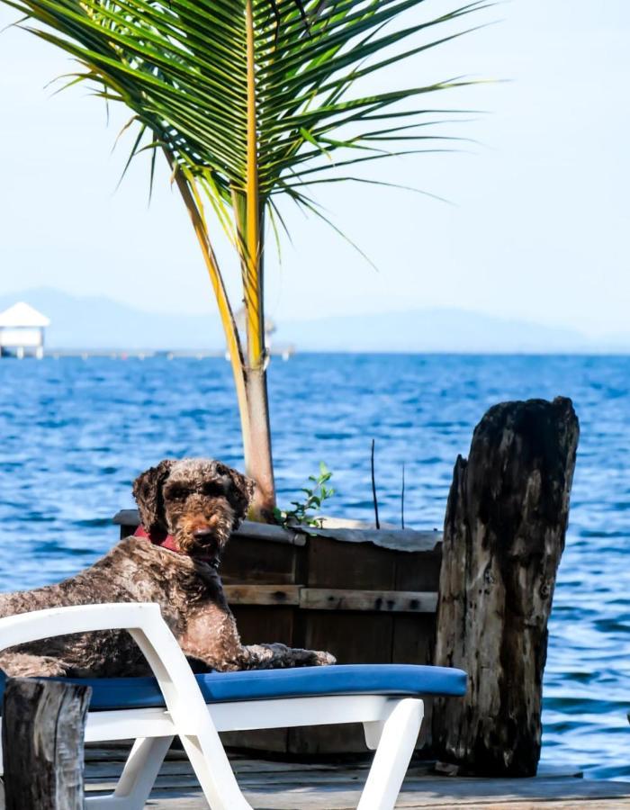 Barrbra Bnb Over The Sea Bocas del Toro Exterior photo