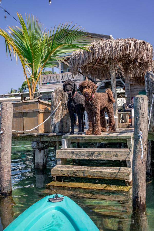 Barrbra Bnb Over The Sea Bocas del Toro Exterior photo